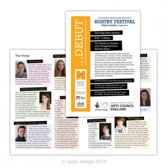 Debut 2014 programme design