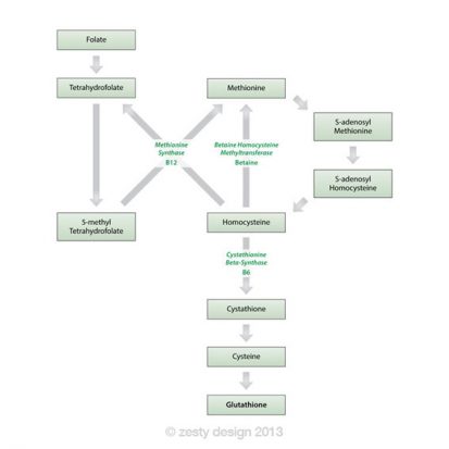 EI-Resource – RADD Protocol infographic design