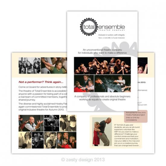 Total Ensemble flyer 2013 design